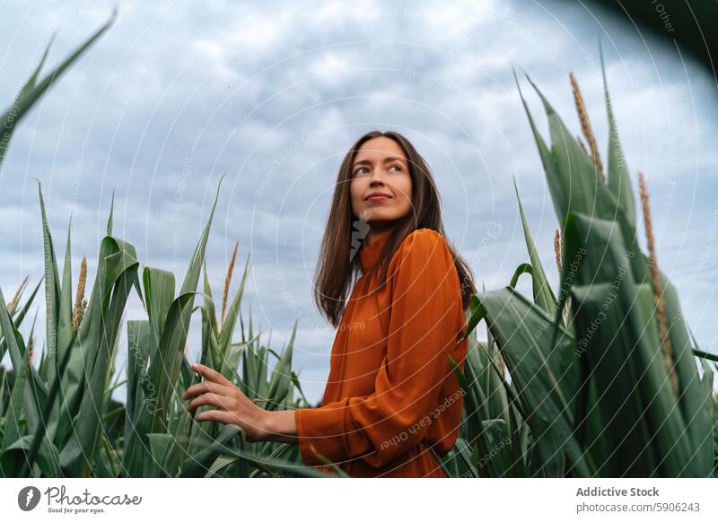 Frau in orangefarbenem Kleid genießt die Zeit in einem Kornfeld brünett orangefarbenes Kleid aufschauend Himmel beschaulich grün Natur im Freien Ackerbau