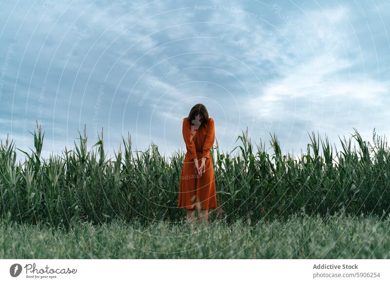 Junge Frau in orangefarbenem Kleid steht feierlich in einem Kornfeld Feld brünett Selbstbetrachtung orangefarbenes Kleid wolkig Himmel Stehen Einsamkeit Natur