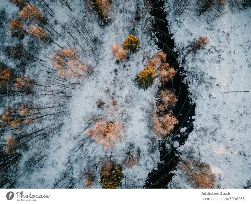 Luftaufnahme eines verschneiten, von einem Fluss durchschnittenen Waldes in Lappland Irrfahrt Finnland Landschaft golden Baumkrone Winter Schnee schneebedeckt