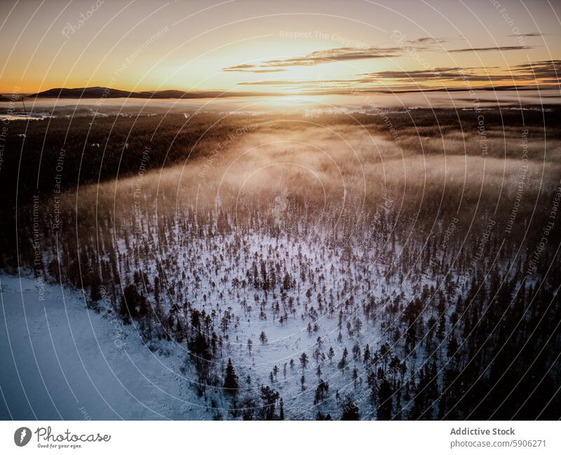 Winterlicher Sonnenaufgang über einem nebligen Wald in Lappland Schnee Luftaufnahme Nebel kalt Morgen Baum golden Landschaft Natur im Freien malerisch Wildnis