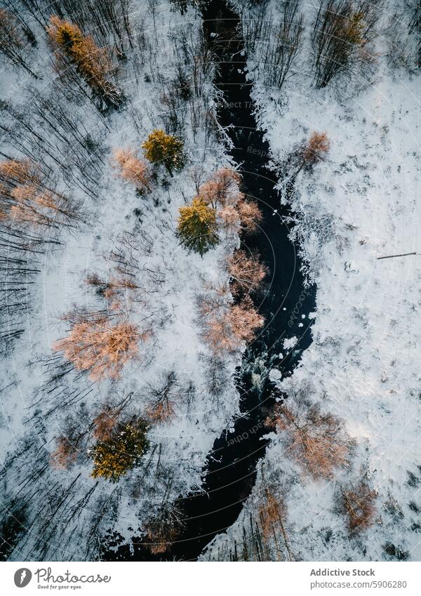 Luftaufnahme eines verschneiten, von einem Fluss durchschnittenen Waldes in Lappland Irrfahrt Finnland Landschaft golden Baumkrone Winter Schnee schneebedeckt