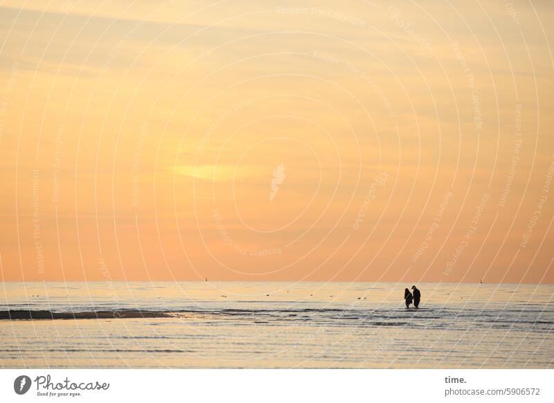 abends auf der Sandbank Himmel Wolken Horizont Umwelt Landschaft Natur Ostsee Meer zwei Abend Abendlicht Wasser Wellen