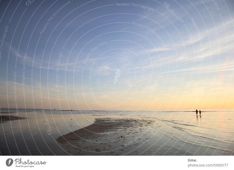 Abendweg durch die Ostsee Sandbank Wasser seichtes Wasser Sonnenlicht Reflexion & Spiegelung leuchten stehen Erfrischung wassertreten nass Sommer