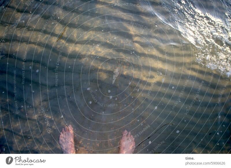 Füße im Meer auf Rippeln von Welle umspült nackt Wasser Ostsee Rippelmarken seichtes Wasser Sonnenlicht Reflexion & Spiegelung glänzen leuchten baden stehen