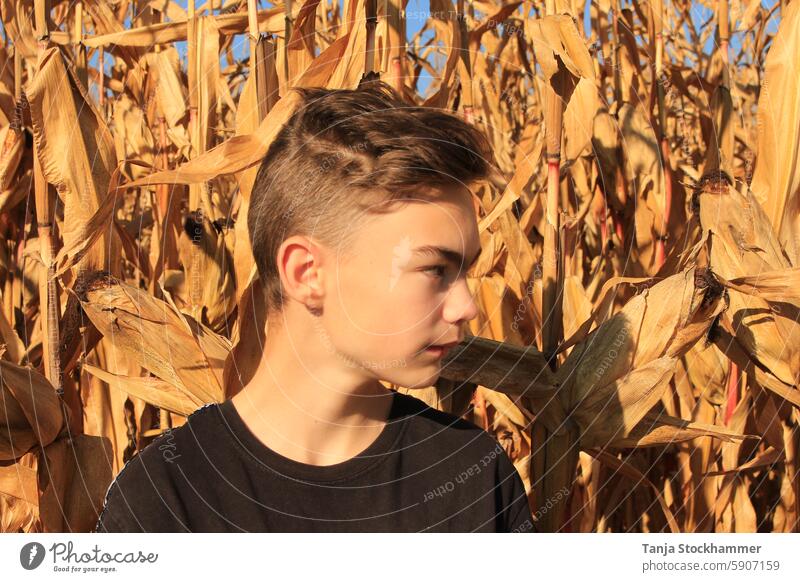 Junge vor einem Maisfeld Porträt seitlich Natur braune Haare Gesicht kurzhaarig Mensch fixieren Blick zur Seite Haare & Frisuren Kopf Farbfoto Außenaufnahme Tag