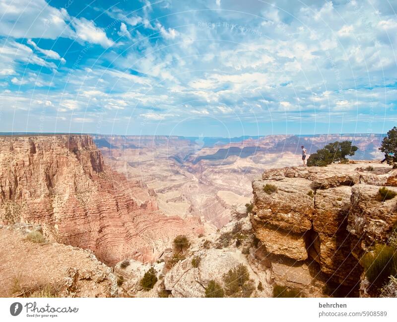 große weite wunderschöne welt Aussicht Felsen Colorado River Fluss überwältigend überwältigt Natur Grand Canyon Ferne Ferien & Urlaub & Reisen Himmel Freiheit