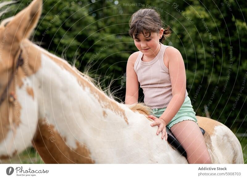 Junges Mädchen reitet auf einem Paint Horse in einer natürlichen Umgebung jung Pferd Reiten Farbpferd Natur im Freien Reiterin Kind Tier Bonden Genuss Sommer