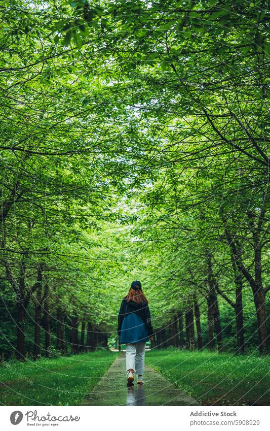 Rückansicht einer nicht erkennbaren Frau, die in einem üppigen Kopenhagener Park spazieren geht Dänemark unkenntlich anonym gesichtslos Grün Bäume Weg