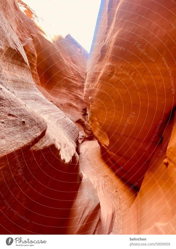 orange beeindruckend faszinierend canyon fantastisch Arizona Ferien & Urlaub & Reisen außergewöhnlich Ferne Natur Amerika USA Antelope Canyon überwältigend