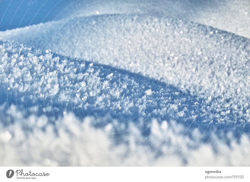 schnee weiß Winter filigran zerbrechlich Außenaufnahme Schnee Natur Kristallstrukturen Klarheit Makroaufnahme