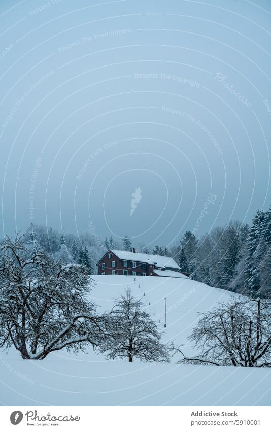 Schneebedeckte Schweizer Landschaft mit traditionellem Haus Winter Baum blau Himmel Gelassenheit Szene kalt Frost Natur im Freien ländlich ruhig Europa alpin