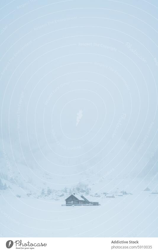 Friedliche Schweizer Landschaft im Winterschnee Schnee Haus Gelassenheit ruhig Isolation Wunderland Berge u. Gebirge kalt weiß Natur im Freien malerisch Frost