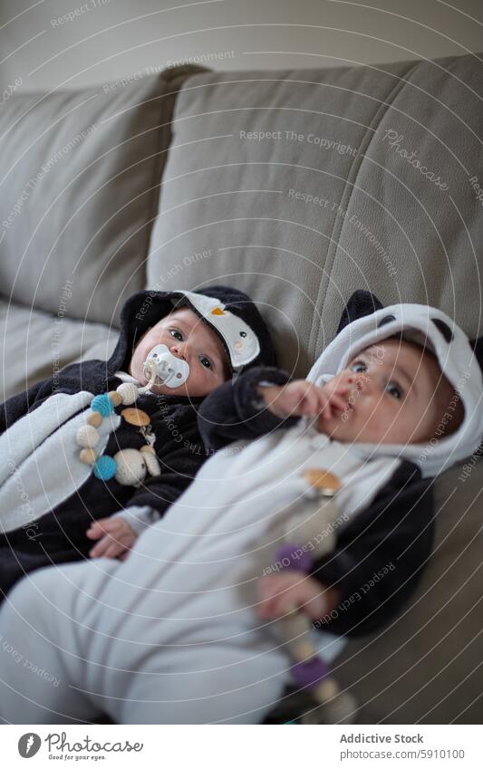 Zwei Kleinkinder in niedlichen Tierkostümen auf einem Sofa Säugling Baby neugeboren Outfit Thema Tracht Pinguin weich Spielzeug Liege entspannend bezaubernd