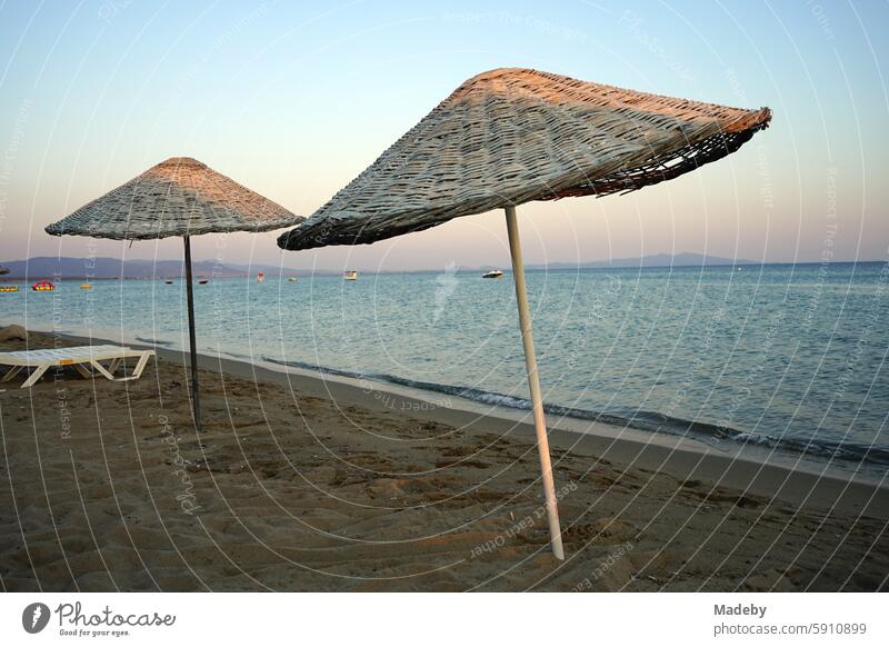 Große runde Sonnenschirme aus Korbgeflecht vor blauem Himmel im Licht der Abendsonne im Sommer am Strand von Sarimsakli bei Ayvalik in der Provinz Balikesir in der Türkei