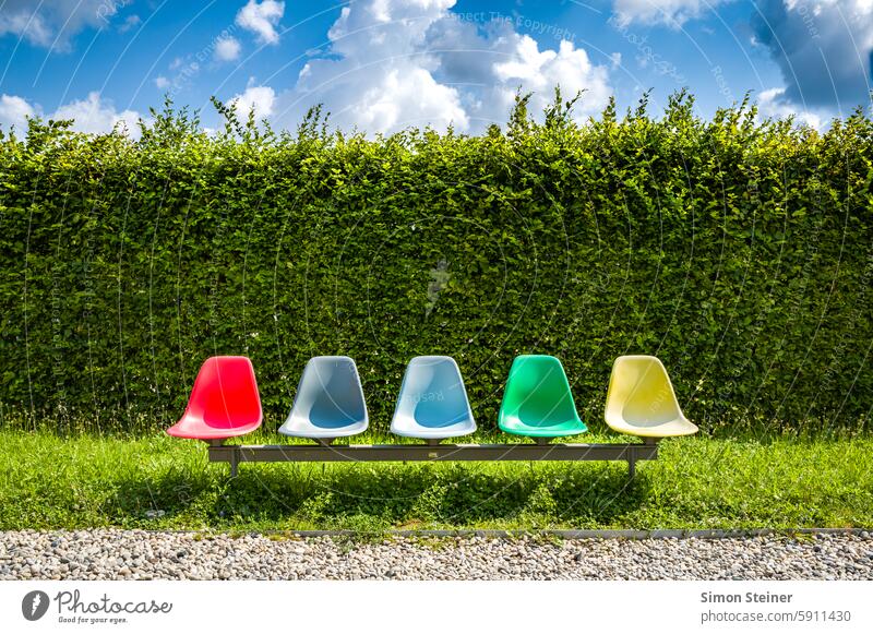 Bunte Stühle vor einer Hecke stühle bunt farbenfroh Farbe Natur Garten draußen Stuhl