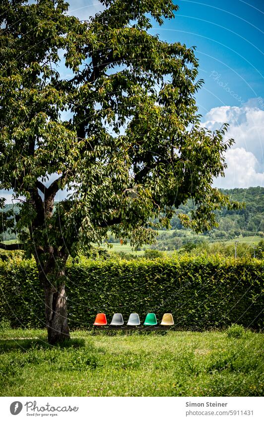 Bunte Stühle Stuhl stühle farbenfroh Farbe Garten Natur Baum Grass