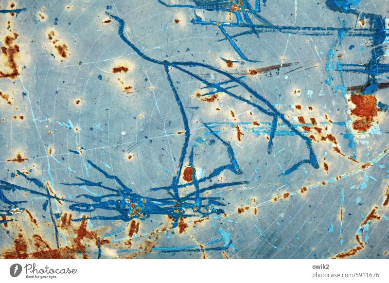 Schreitvogel Container Blech Metall Kratzspuren Außenaufnahme Strukturen & Formen Detailaufnahme Nahaufnahme Farbfoto Menschenleer abstrakt Zahn der Zeit