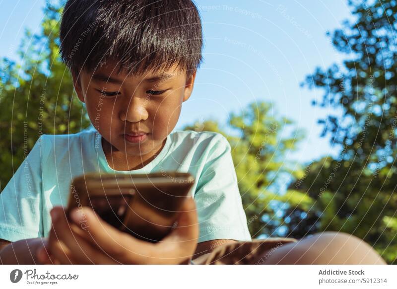 Junger asiatischer Junge konzentriert auf Smartphone während Picknick im Freien Kind Technik & Technologie Sommer Park Natur sonnig digital Jugend Konzentration