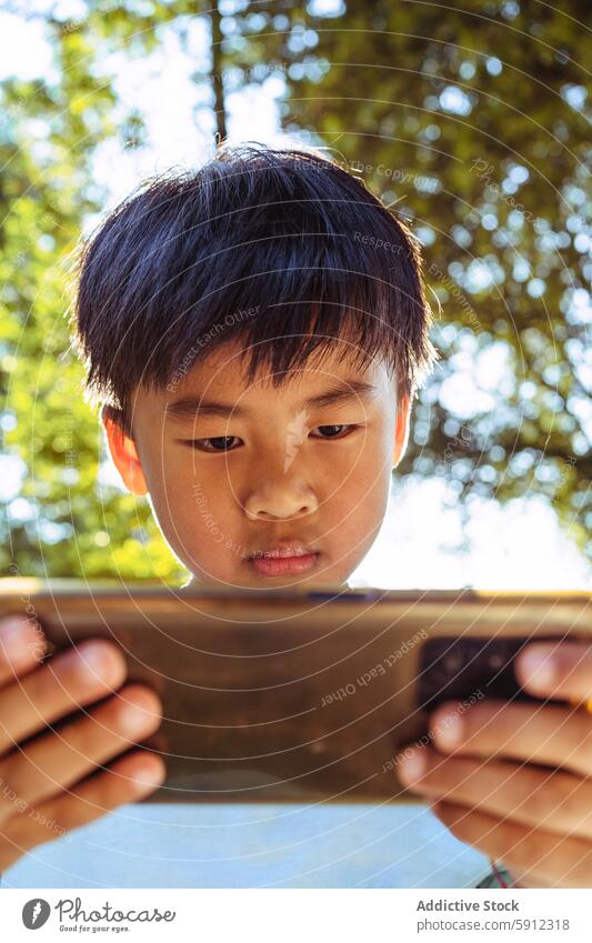 Junge benutzt im Freien aufmerksam sein Smartphone asiatisch Picknick Sommer Baum Fokus Kind Technik & Technologie Mobile Park sonnig Sonnenlicht lässig Jugend