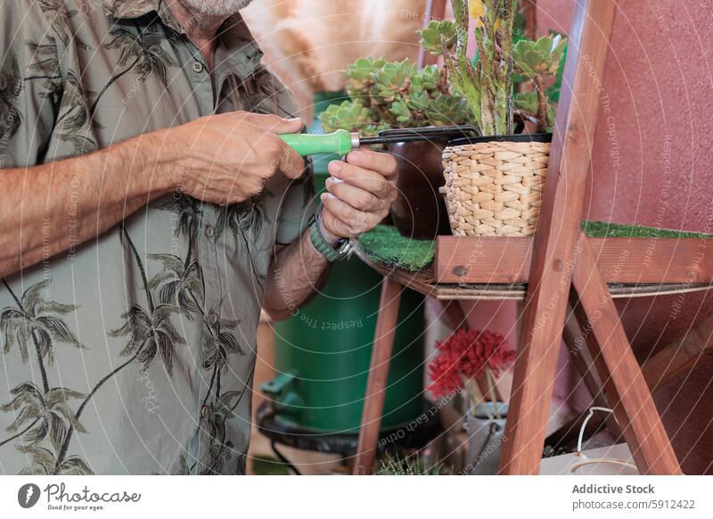 Mann bei der Pflege von Pflanzen mit Gartengeräten Gartenarbeit Zimmerpflanze Grün gemütlich üppig (Wuchs) Fokus Gärtner grüne Gießkanne Innengarten Topfpflanze