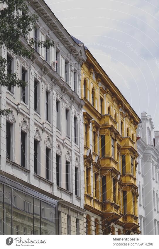 Altbau Fassade Wien weiß gelb glas Altbauwohnung Fenster Haus Architektur Gebäude Menschenleer Bauwerk Stadt Außenaufnahme Altstadt Stadtzentrum Hauptstadt