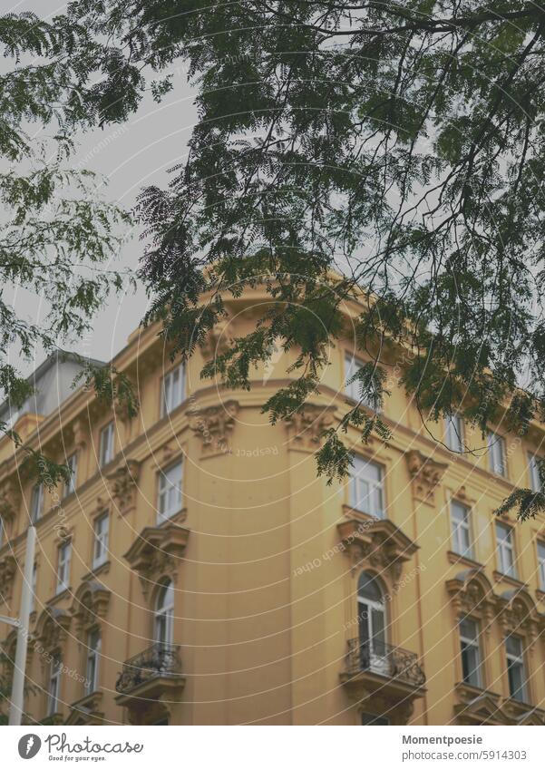 Gelbes Gebäude Altbau gelb Stadt Sommer Tourismus Besichtigung Wien Architektur Architekturfotografie Außenaufnahme Fassade Menschenleer Farbfoto Bauwerk Haus