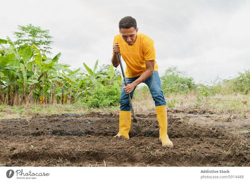 Latin Man verpflanzt vorsichtig Hibiskustriebe im Garten Mann Verpflanzung Hawaiiblume schießen Gartenarbeit tropisch Pflanze gelb Hemd Gummi Stiefel im Freien