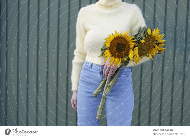 Frau hält gepflückte Sonnenblumen sonnenblume halten pflücken pullover gelb floristin Sommer Natur Blume Hand Pflanze frisch Ernte Blüte Farbfoto natürlich