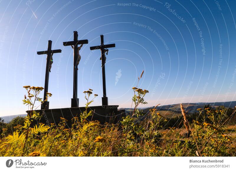 Drei Kreuze von hinten mit gelben Blumen im Vordergrund und Kondensstreifen am blauen Himmel Kreuzberg Rhön Religion & Glaube Rückansicht Christliches Kreuz