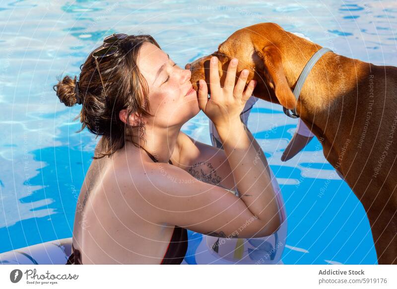 Frau und Hund in einem Pool Zuneigung spielen Sonnenschein Interaktion Wasser Bonden freudig schwimmen Sommer im Freien Freizeit Freundschaft Haustier Spaß