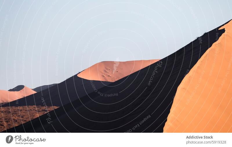 Majestätische Sanddünen in Namibia bei sanfter Beleuchtung Afrika Düne wüst Landschaft Natur orange dunkel Gelassenheit Sonnenaufgang Morgendämmerung Licht