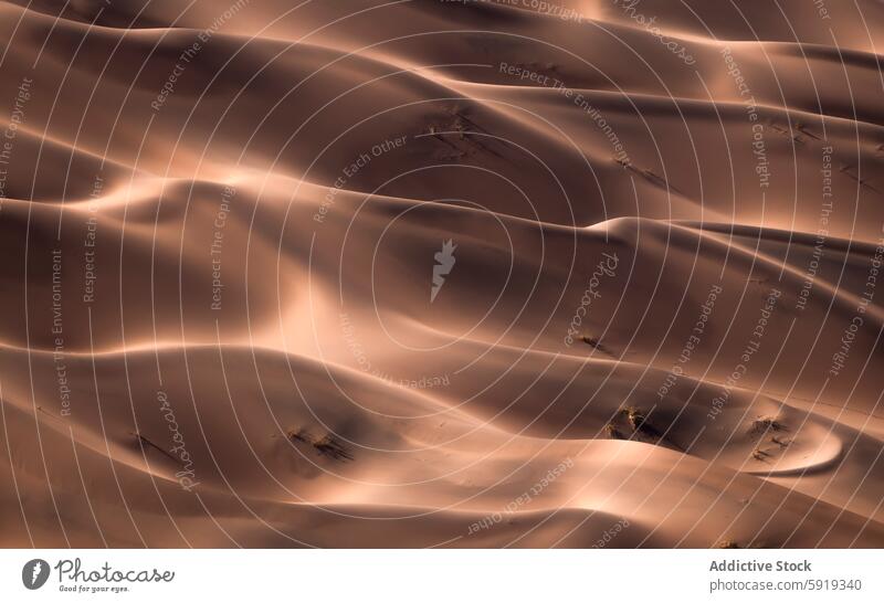 Mystische Dünen in Namibia im Licht des Sonnenuntergangs Afrika wüst Sand Landschaft Natur Umrisslinie Textur Schatten glühen weich warm Gelassenheit ruhig