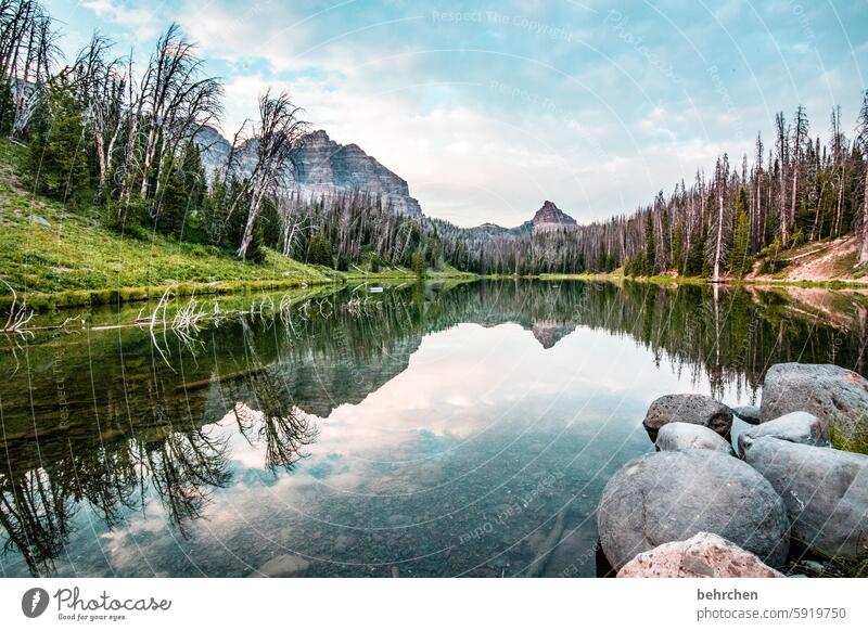 irgendwo in wyoming stille Steine Wyoming USA Amerika Wasser Wolken See Bäume Berge u. Gebirge Landschaft Wald fantastisch Ferien & Urlaub & Reisen Natur