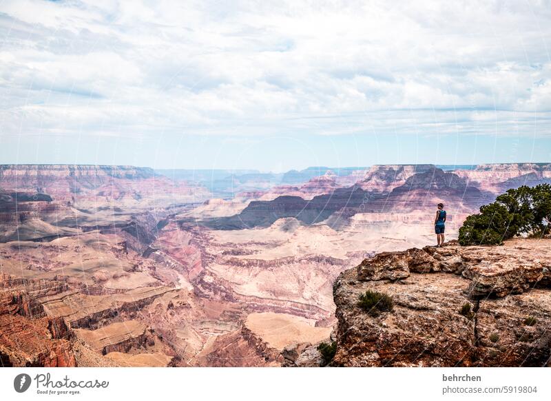 kleiner mensch, große welt Landschaft unterwegs Endlosigkeit endlos Arizona Fernweh Sehnsucht träumen außergewöhnlich fantastisch USA Amerika Freiheit Himmel