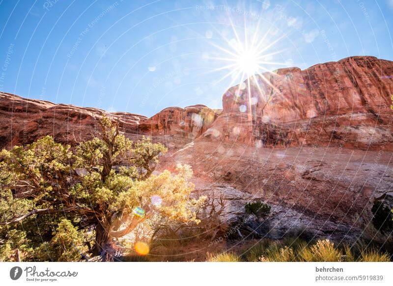 utah Sonnenstern Himmel beeindruckend Felsen Arches National Park Utah Ferne Ferien & Urlaub & Reisen Amerika USA außergewöhnlich Fernweh Abenteuer Landschaft