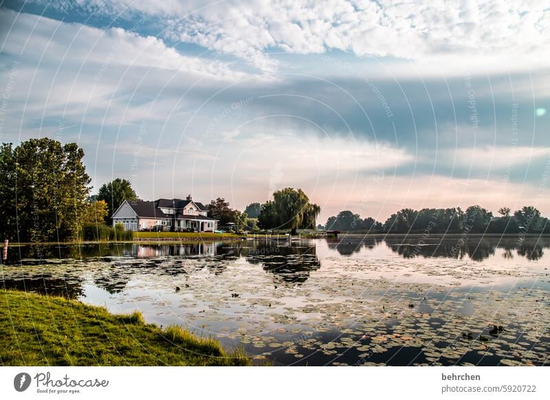 ruhe Erholung Ruhe Idylle Warsaw Amerika USA Wolken Bäume See Landschaft Natur fantastisch Ferien & Urlaub & Reisen besonders Fernweh Ferne weite spiegelung