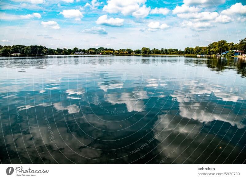 wollenspiegel Erholung Ruhe Idylle Warsaw Amerika USA Wolken Bäume See Landschaft Natur fantastisch Ferien & Urlaub & Reisen besonders Fernweh Ferne weite