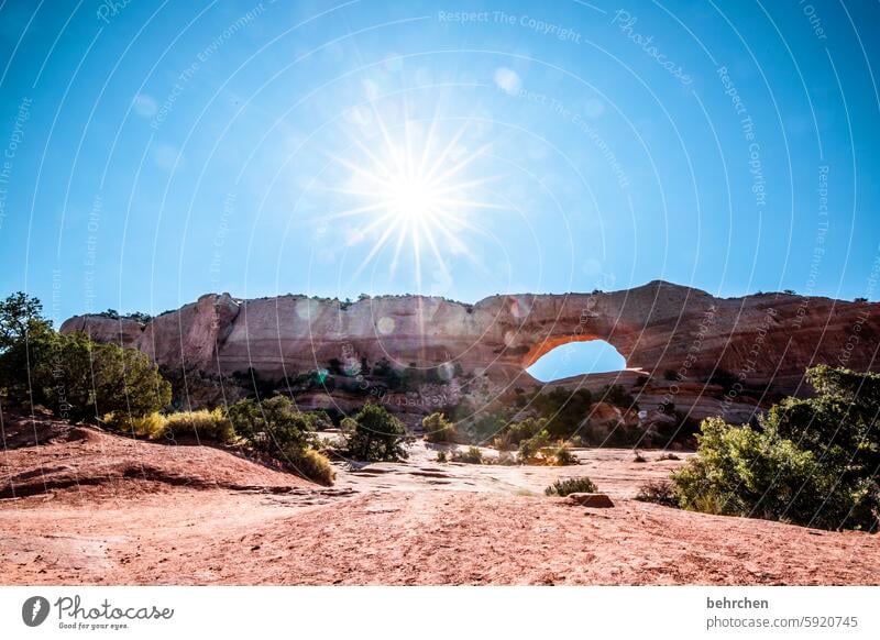 lückenhaft | ein stück himmel Bogen unterwegs Natur Landschaft Abenteuer Fernweh außergewöhnlich USA Amerika Freiheit Ferien & Urlaub & Reisen Ferne Utah