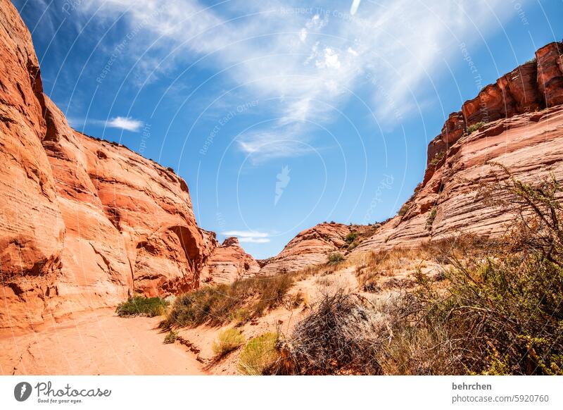 antelope beeindruckend faszinierend canyon fantastisch Arizona Ferien & Urlaub & Reisen außergewöhnlich Ferne Natur Amerika USA Antelope Canyon überwältigend