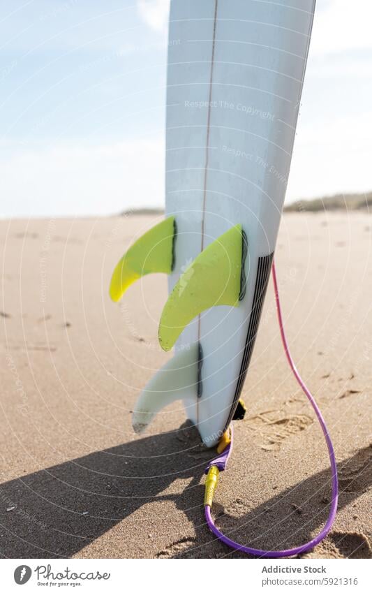 Surfbrett mit Flossen an der Küste Ufer Küstenstreifen Meeresufer Strand Hafengebiet Aktivität Sand Seeküste Natur Gerät Sommer Seil farbenfroh Sonnenschein