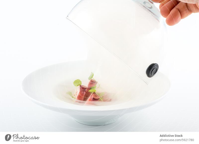 Rauchinfusion von Gourmet-Gerichten in eleganter Präsentation Gourmetgericht transparente Kuppel elegante Präsentation Ente Mikrogrün weiße Platte