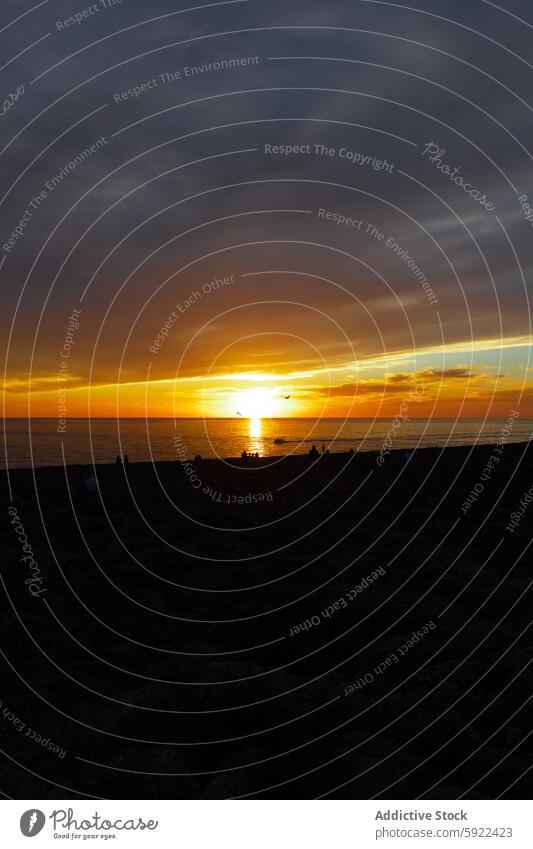 Reisende Silhouetten betrachten das Meer vom Strand bei Nacht Himmel wolkig Abenddämmerung Reisender Natur Meereslandschaft Landschaft Ufer MEER glänzend Sonne