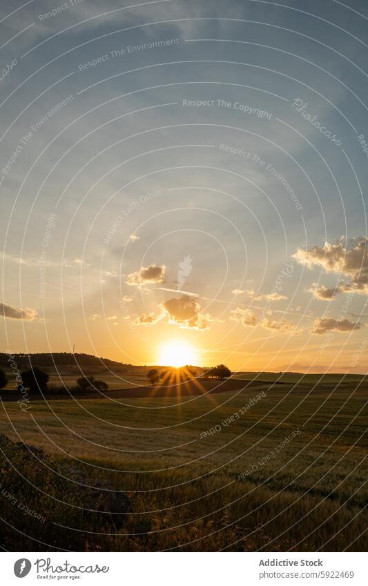 Ländliches Feld unter bewölktem Himmel mit Sonnenstrahlen Natur Landschaft Umwelt Ökologie wolkig Abend Baum Grasland vegetieren Wiese idyllisch Rasen