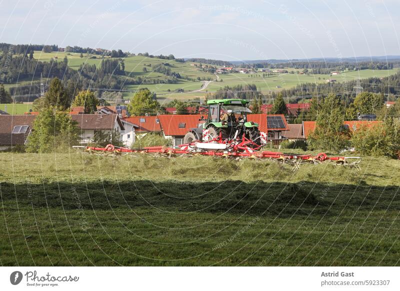 Ein Traktor wendet gemähtes Heu auf einem Feld in einer kleinen Gemeinde traktor mähen landwirt bauer heuernte gras feld landwirtschaft mähwerk fahrzeug