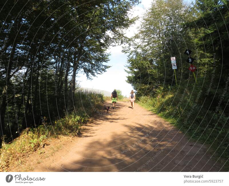 Zwei Menschen wandern auf einem Berg Zwei Personen wandern Bergweg Outdoor-Erlebnis aussichtsreiche Wanderung Bergpfad Naturerkundung Wanderer