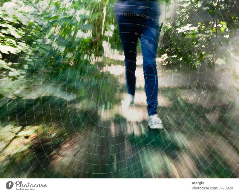 Eine Frau rennt durch den Wald Bäume Baum Büsche grün Umwelt laufen Außenaufnahme Sportschuhe jeans joggerin Weg Erholung Bewegung Natur wandern Waldweg schnell