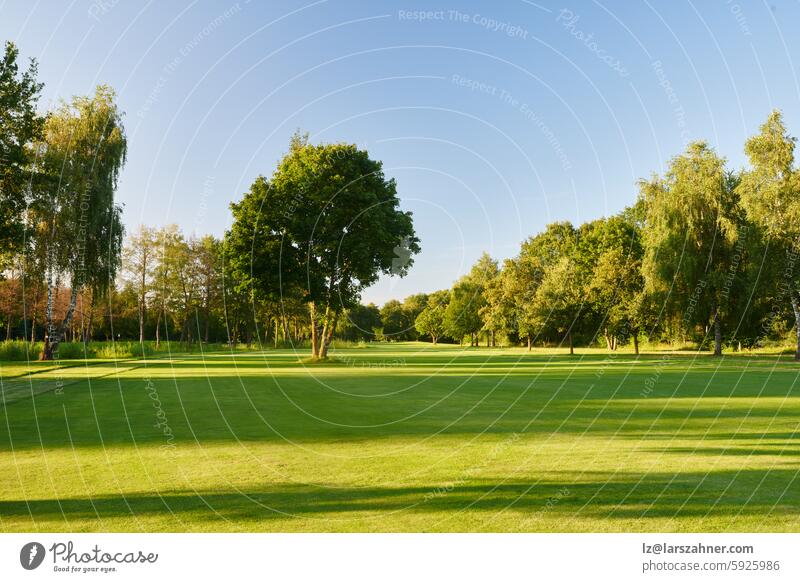 Ein malerischer Blick auf einen üppigen Golfplatz unter einem klaren blauen Himmel. Perfekt, um die Schönheit der Natur, den Sport im Freien und die Entspannung in einer ruhigen, grünen Umgebung in Szene zu setzen.