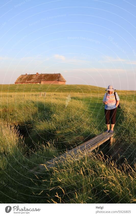 Hallig Gröde | Seniorin im Abendlicht an einem Steg in den Salzwiesen Frau Landschaft Natur Pflanze Sonnenlicht Abendsonne Licht Schatten Abendstimmung Himmel