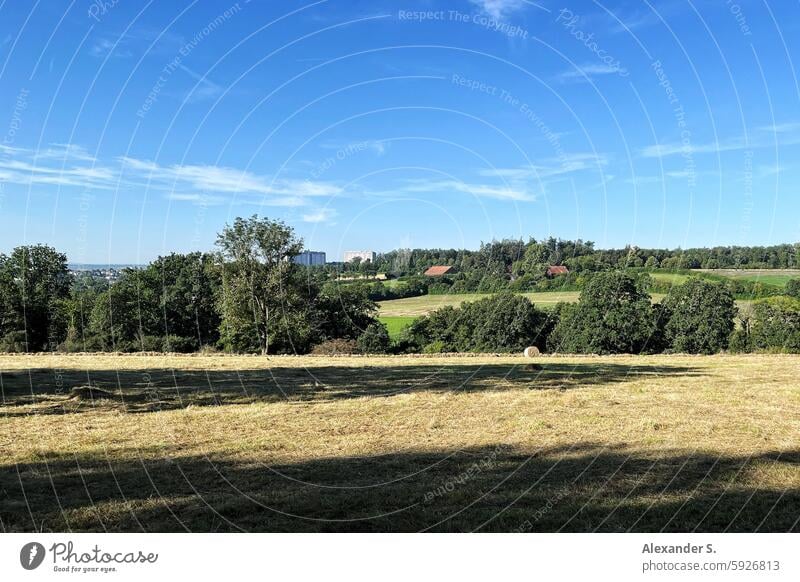 Gemähte Wiese mit Strohballen Ausblick Gras Grasland Heu Sommer Landschaft Landwirtschaft Heuballen blau Waldrand Himmel