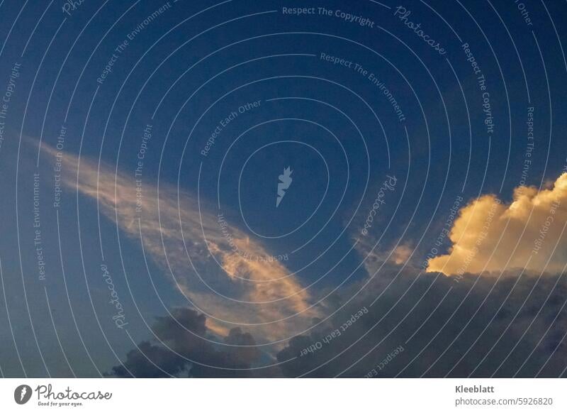 ... und Engel gibt es doch. Wolkenformation die aussehen wie Engelsflügel Wolkenformatin, Wolke in der Abendsonne Gewitter besondere Wolkenformation